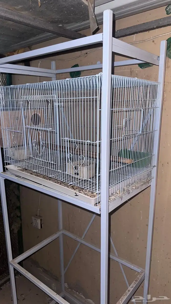 ستاند طيور 601 0