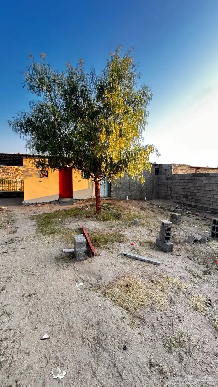 حوش غنم دواجن للاجار 2