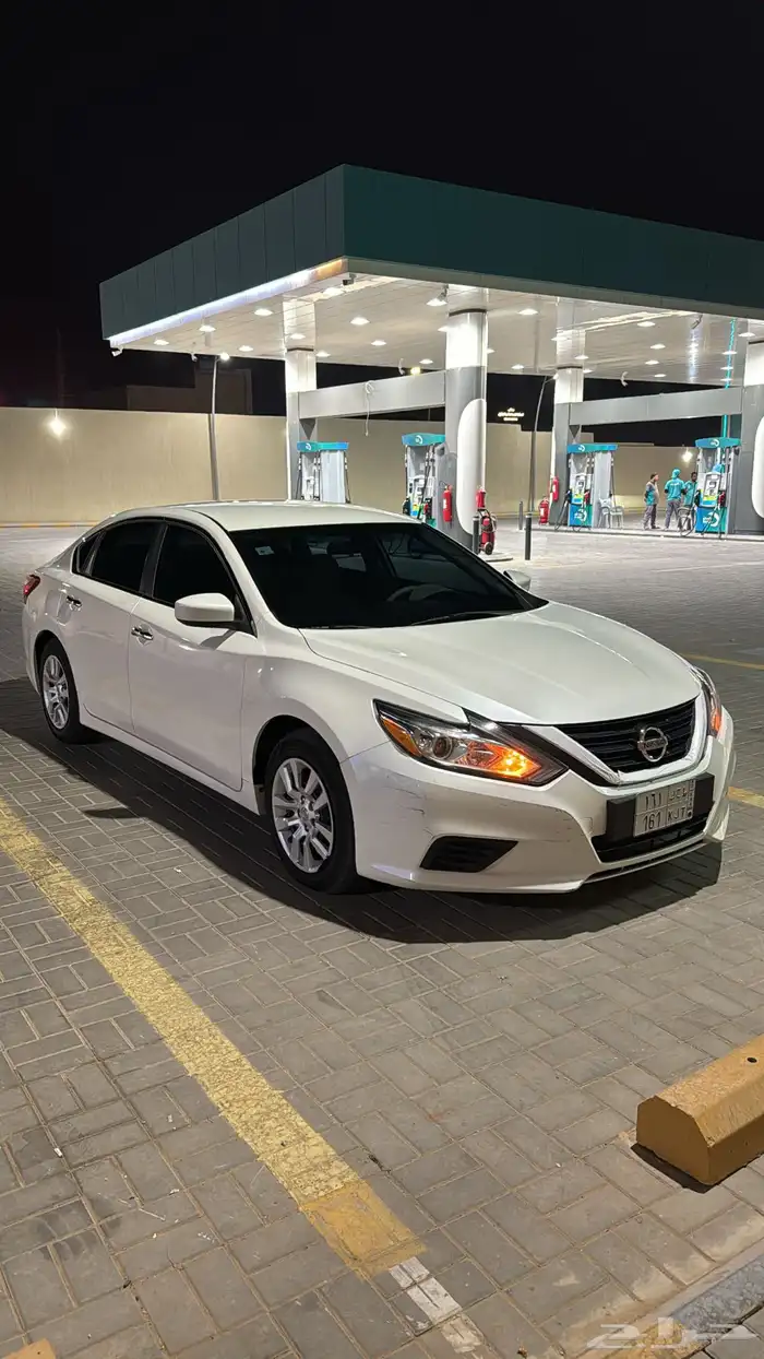 التيما 2018 ستاندر لؤلؤي 2