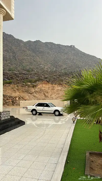 كرسيدا موديل 96 الاستخدام 8 شهور السوم وصل 9الاف index