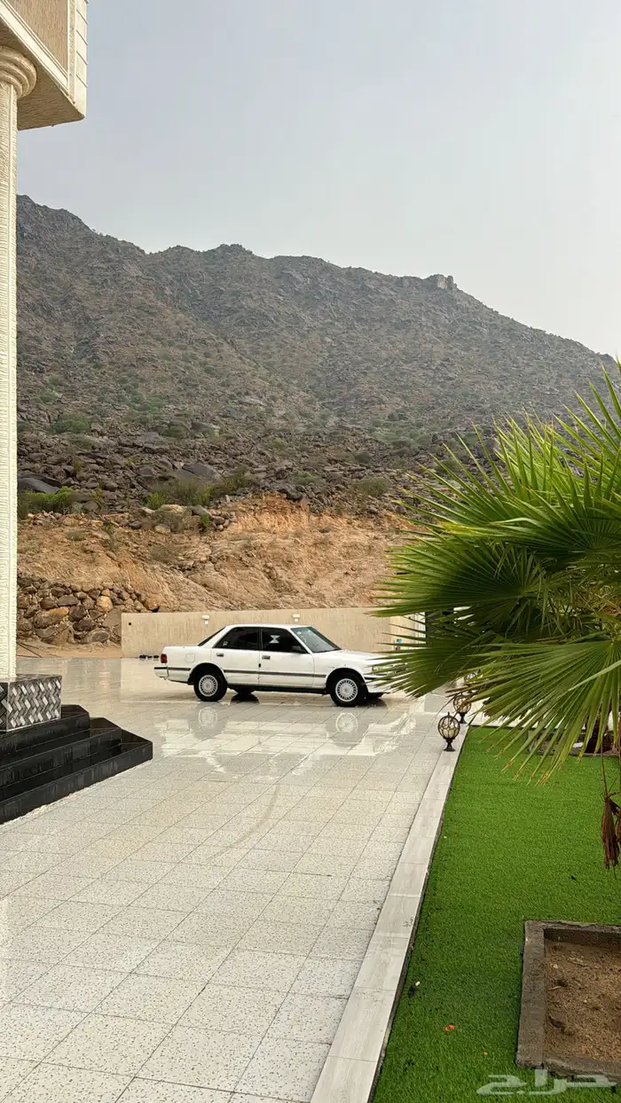 كرسيدا موديل 96 الاستخدام 8 شهور السوم وصل 9الاف 0