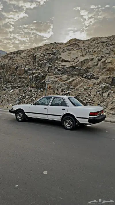 كرسيدا xl index