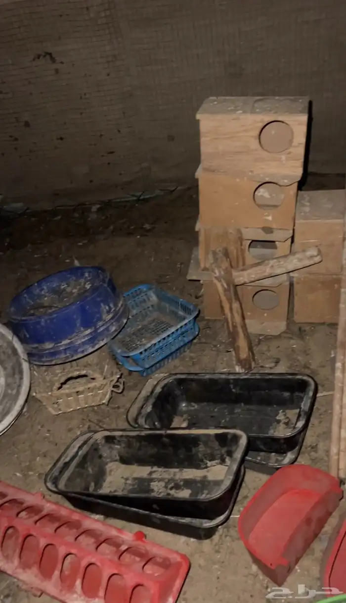 مستلزمات طيور 0