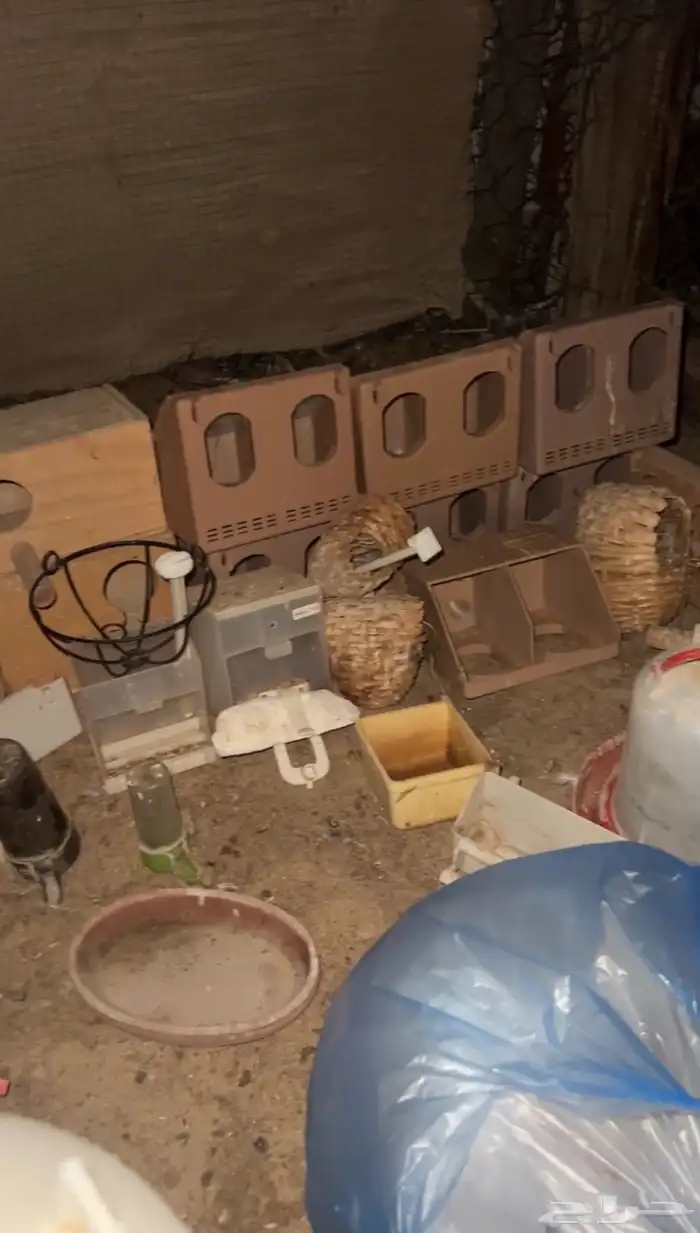 مستلزمات طيور 1