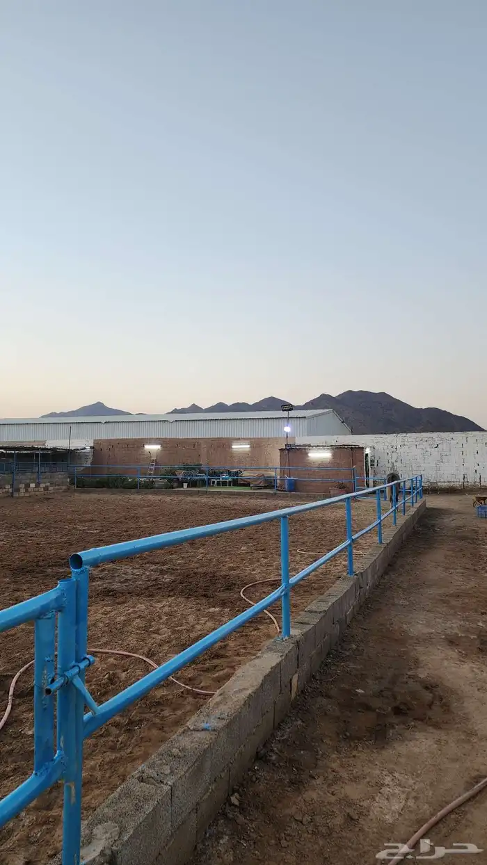 إيواء غرف خيل 9