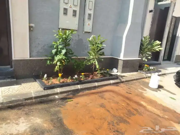 مشتل بيع الزهور والشتلات الزراعيه بجميع انواعها مع الصيانه ا 0