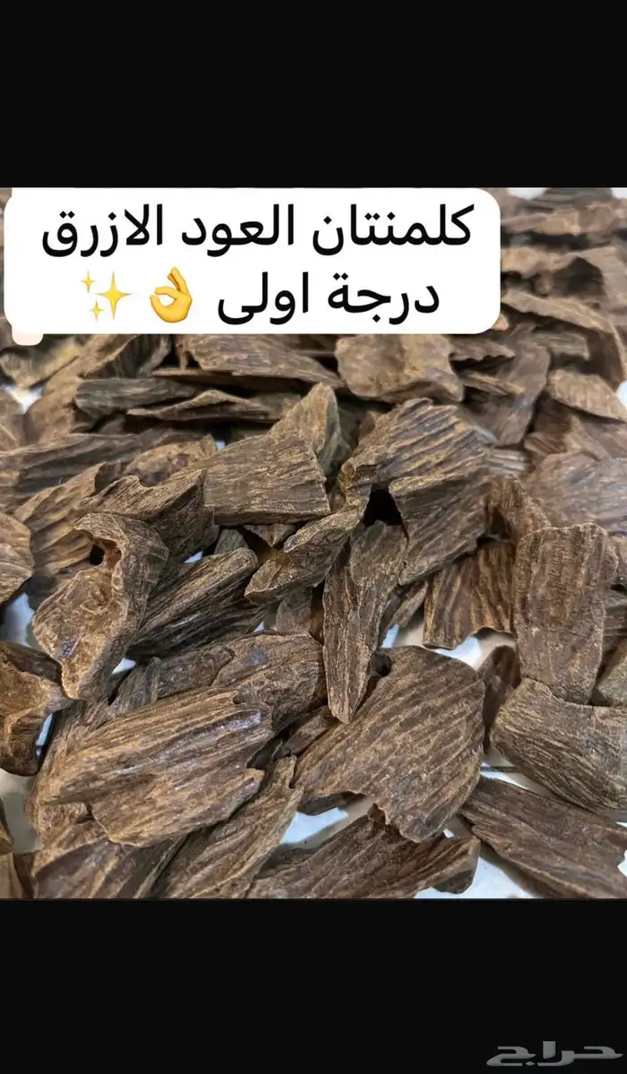 كلمنتان العود الأزرق 0