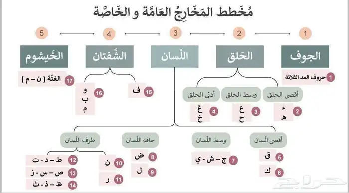 معلم تأسيس وقرآن ونور البيان ولغة عربية وتصحيح النطق 0