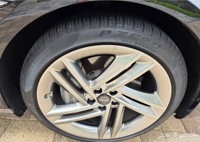 جينيسس رويال 2025 ناادرة 14