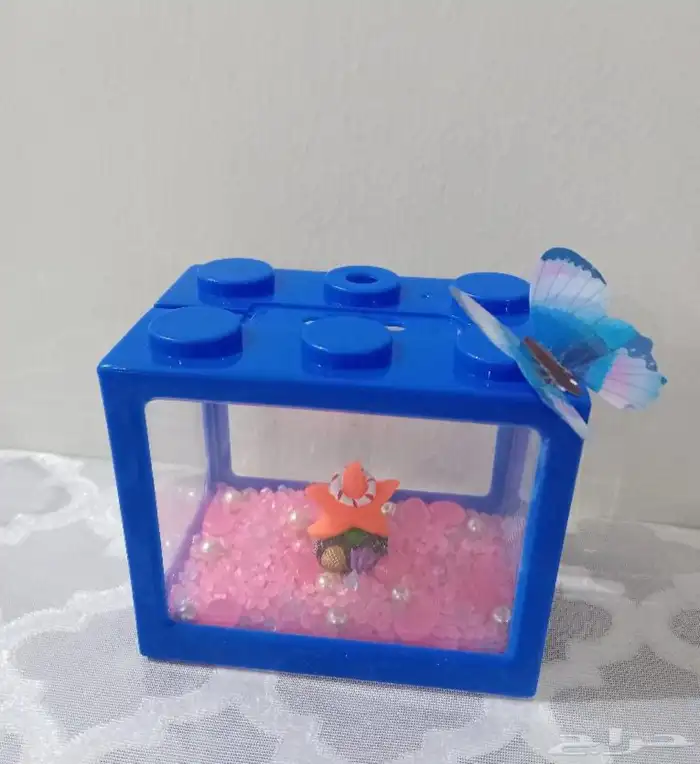 أسماك فايترذكور هاف موون ومنتجه شرررط 6