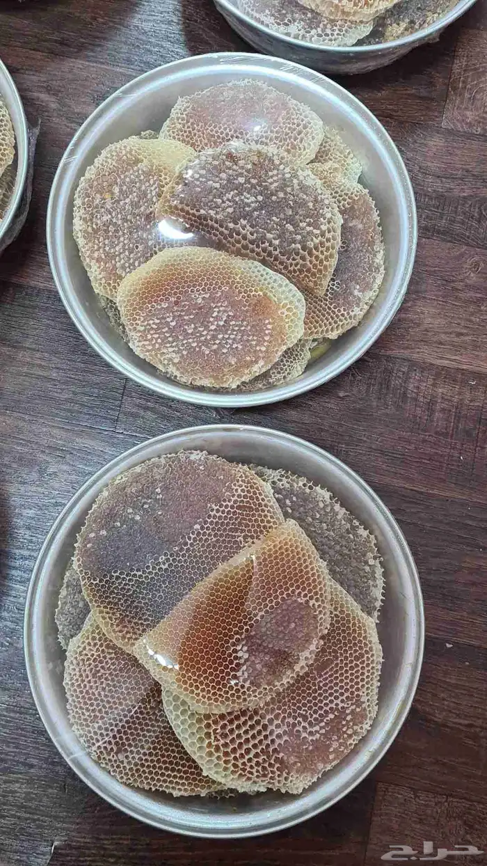 عسل من مناحل عسل السدر الصافي 3