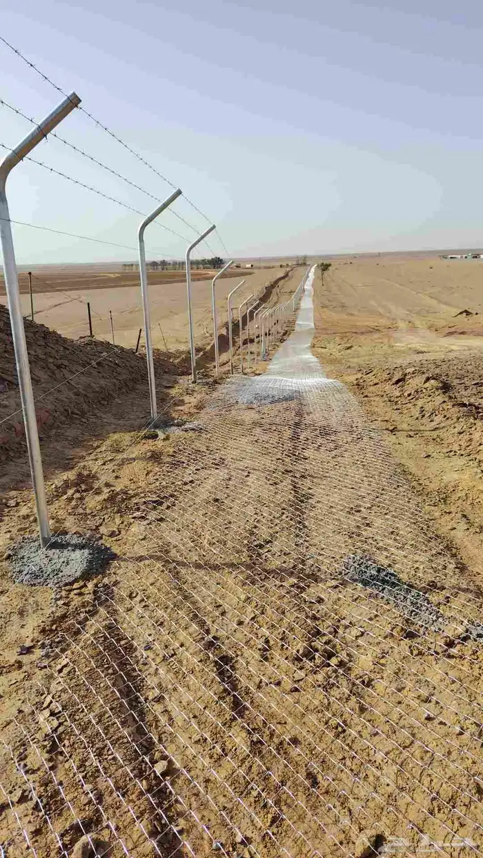 نقوم بتركيب الشبوك تحت ايادي متخصصه وتركيب النخيل 7