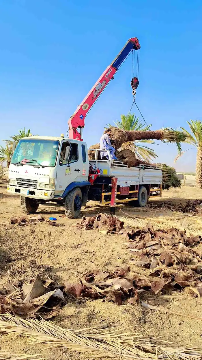 كرين ونش متوجد بل جديده للاجار اليومي 0