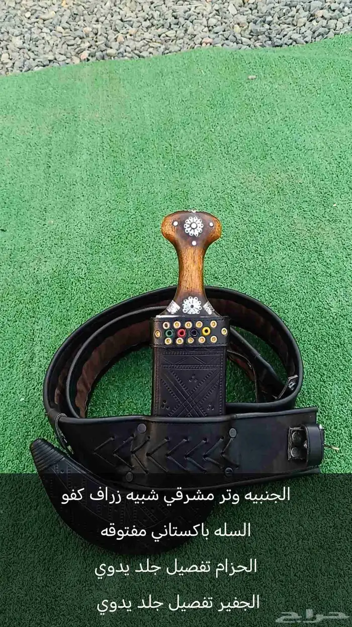 جنبيه وتر مشرقي شبيه زراف 0