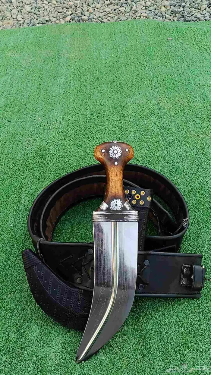 جنبيه وتر مشرقي شبيه زراف 1