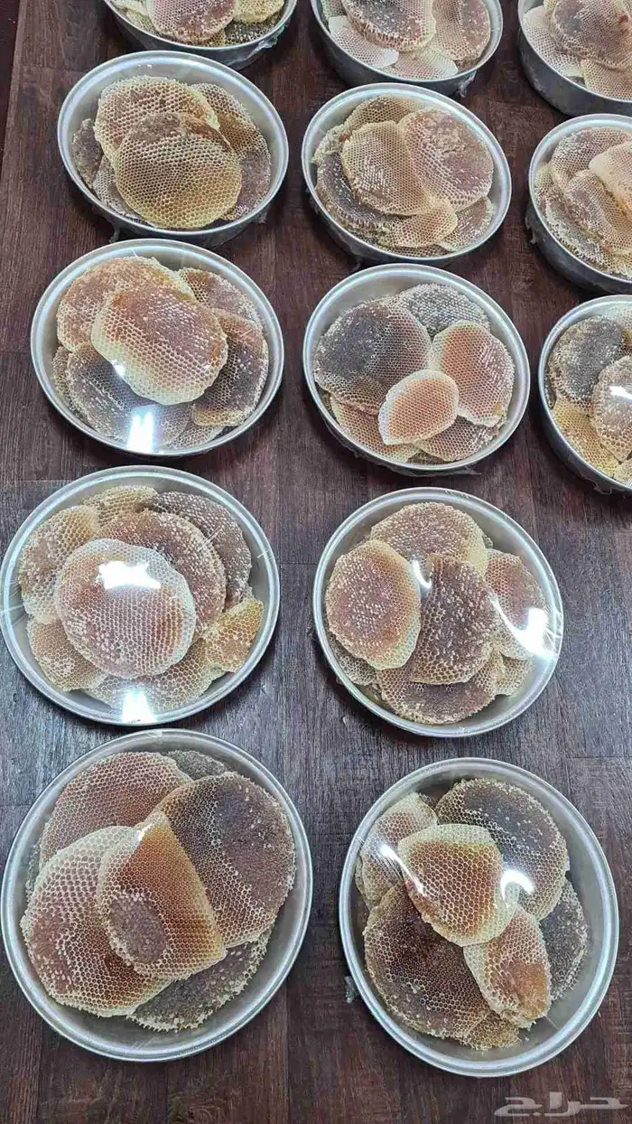 عسل من مناحل عسل السدر الصافي 1