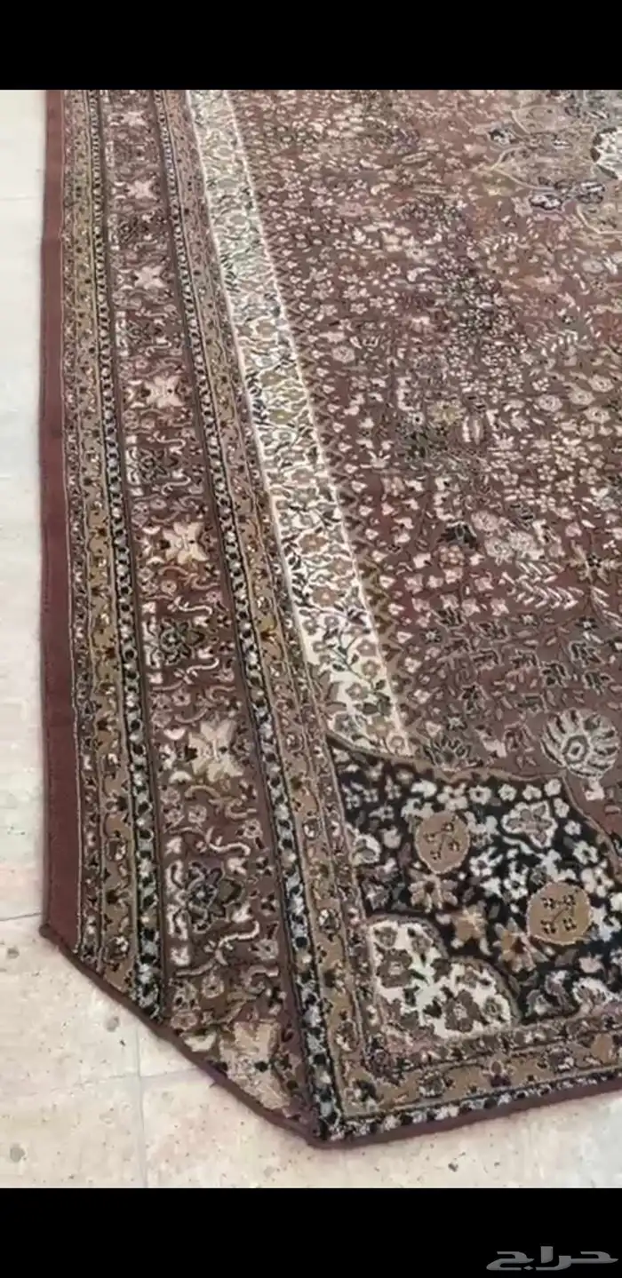 زوليه كبيره 2