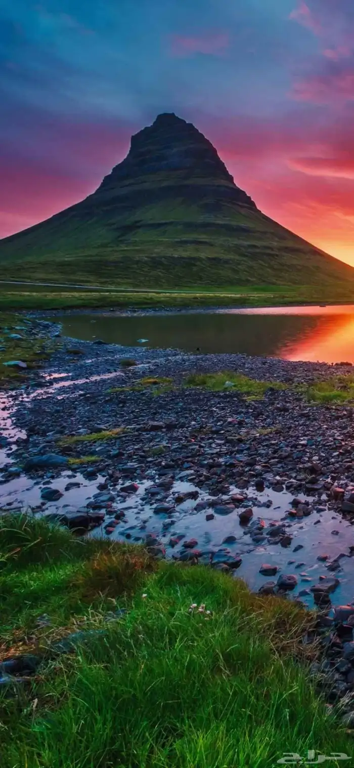 توصيل طلبات وحيوانات من المدينة الى تبوك وسكاكا والجوف وحايل 0