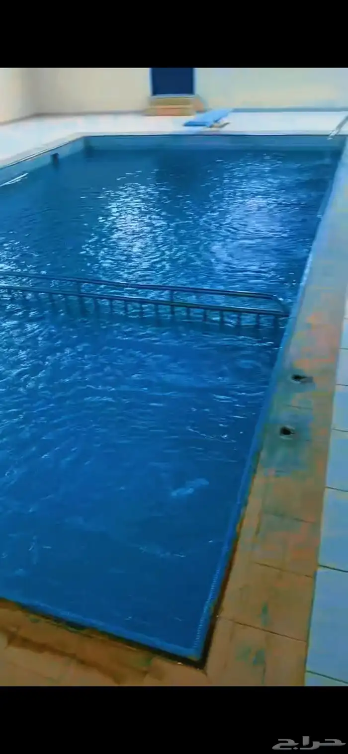 تدريب سباحة لجميع الأعمار   تدريب علي اجتياز الإختبارات 0