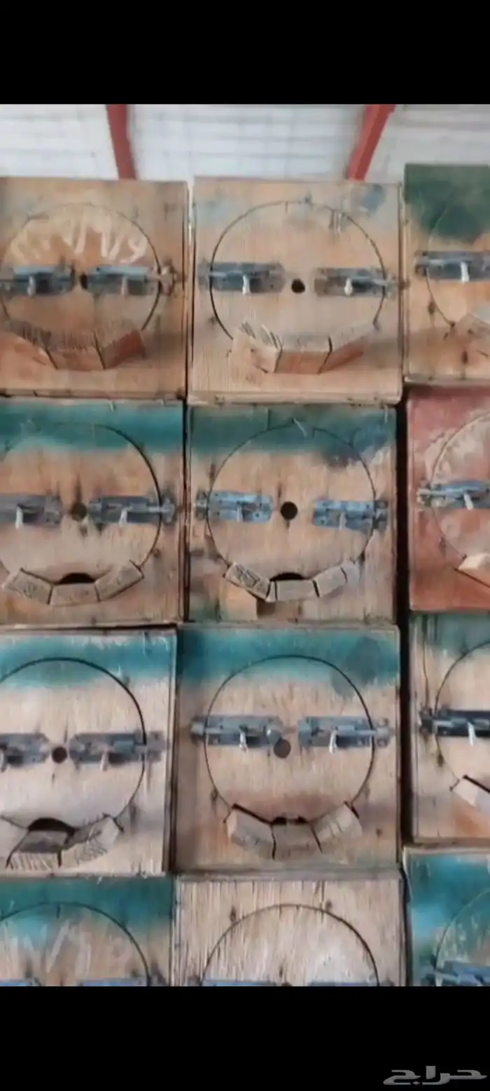 خلايا محايل مستخدم سليمه من كل العيوب 6 ملي العدد 20 خليه 0