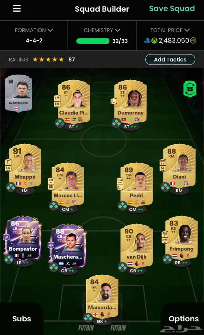 تشيلة فيفا 1