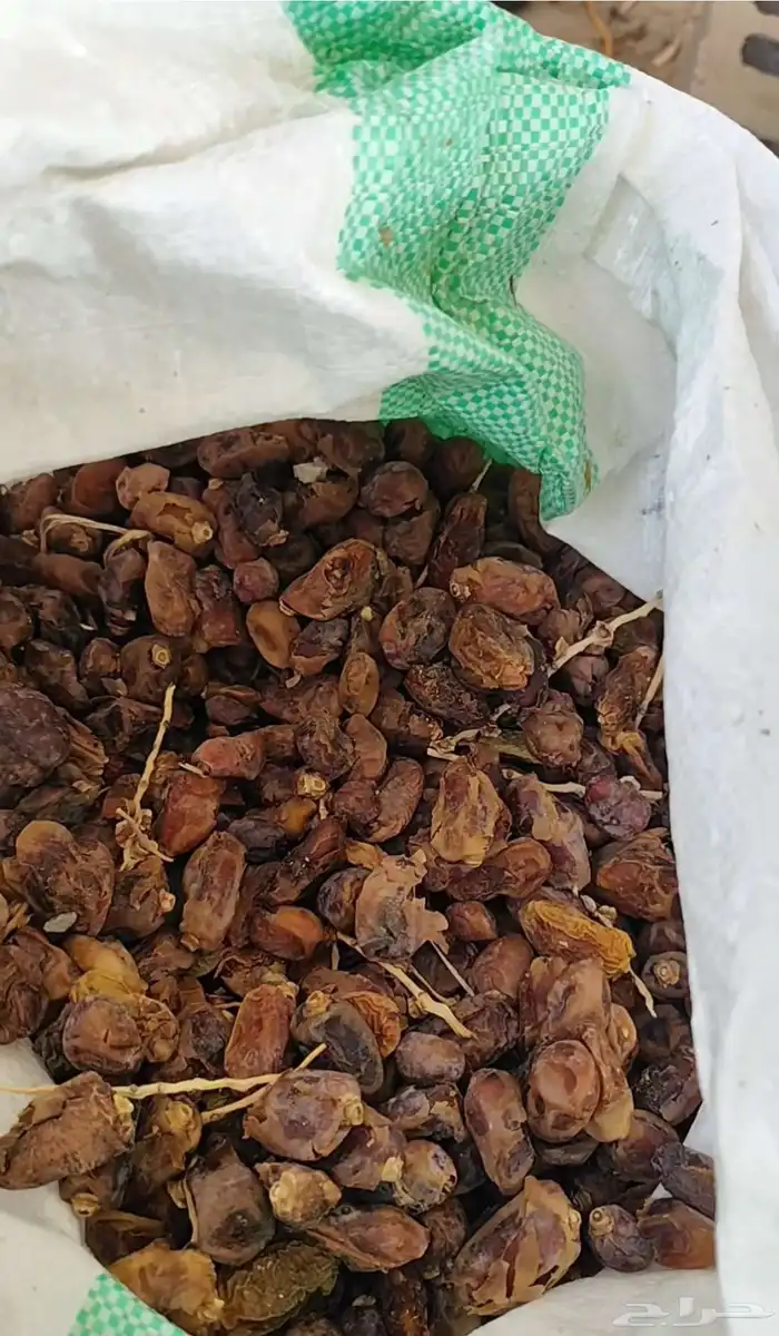للبيع 120كيس تمر علف 0