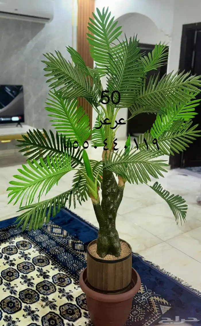 دفايات غسالة ومكنسة دفاية وكواية وبراد وسرير مع الاسفنج وشجر 4