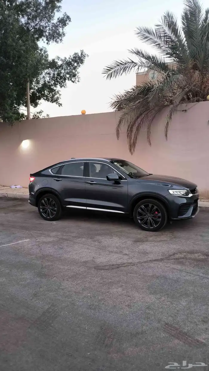 جيلي توجيلا ماشي قليل 8