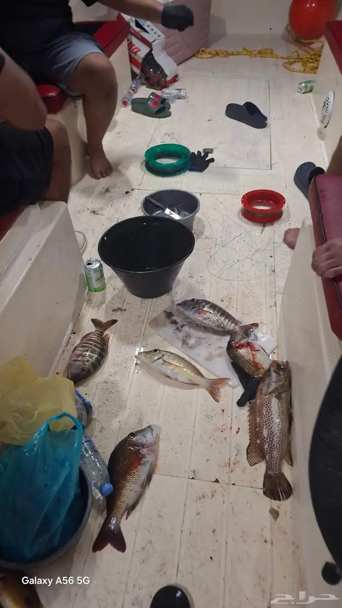 رحلات بحريه مرسى دره العروس 1