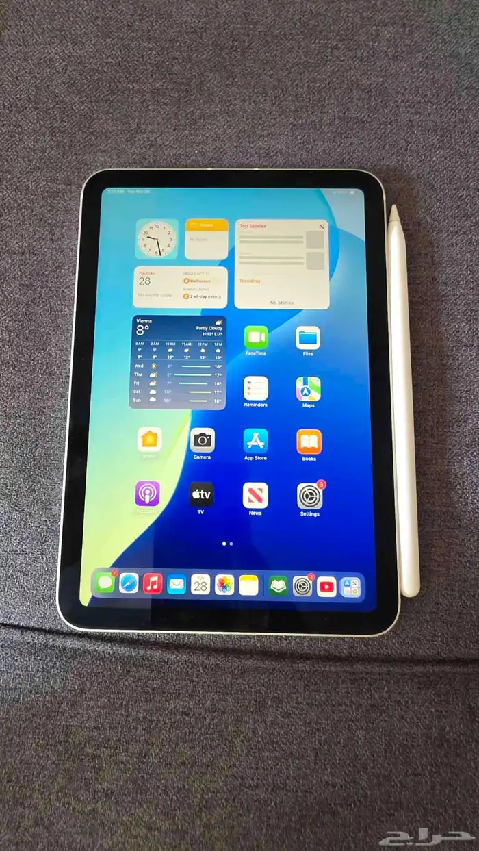 ipad mini 6th generation wifi cellular 256 starlight 9