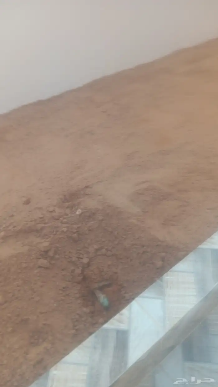 مبلط بلاط سيرامي 3