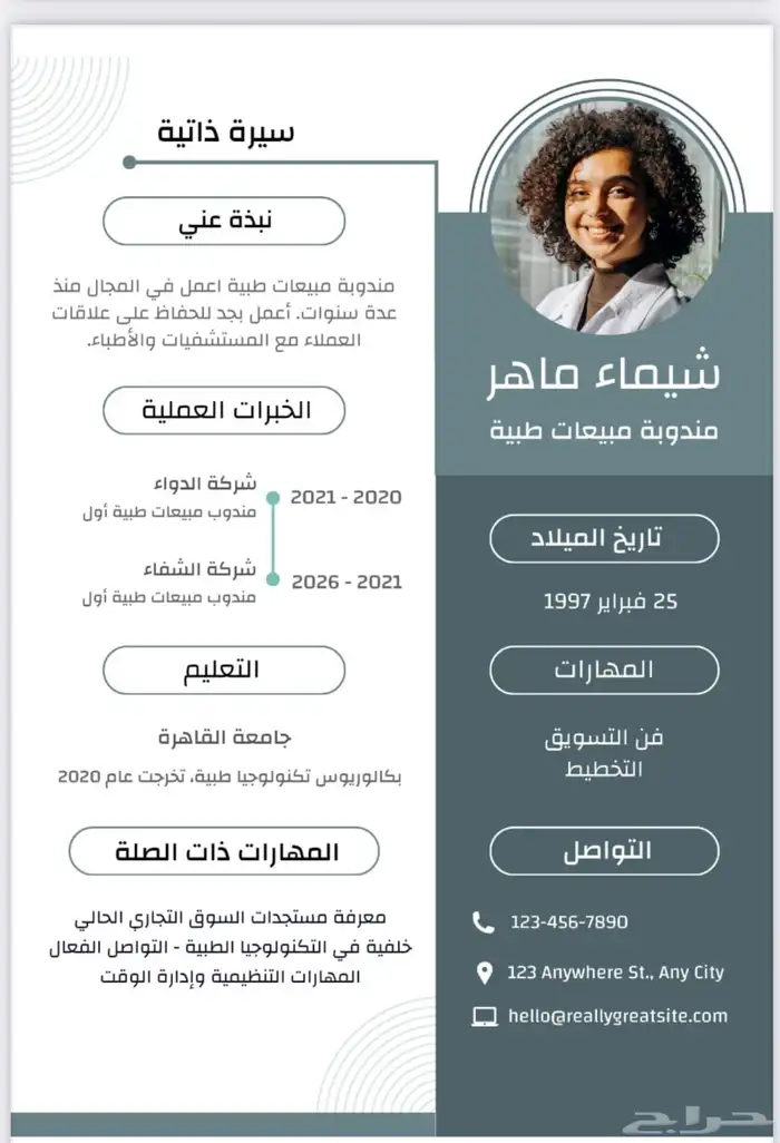 تصميم سيرة سيرة ذاتية احترافية 2