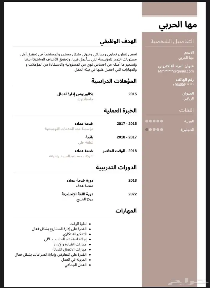 سيرة ذاتية احترافية عربي وانجليزي تزيد من فرصة توظيفك 11