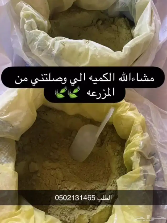 حنا وسدر طبيعي عضوي 0