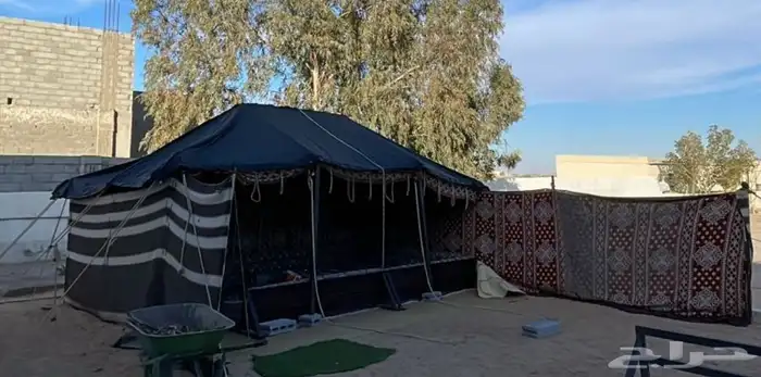 خيمة بيت شعر 6   4 1