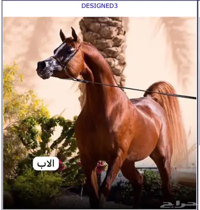 فحل متاح التشبيه index