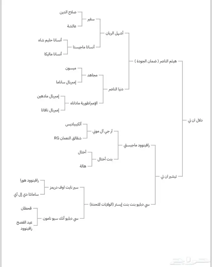فرس واهو للبيع 3