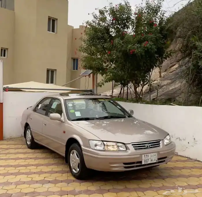 ابحث عن كامري أو هايلوكس 0