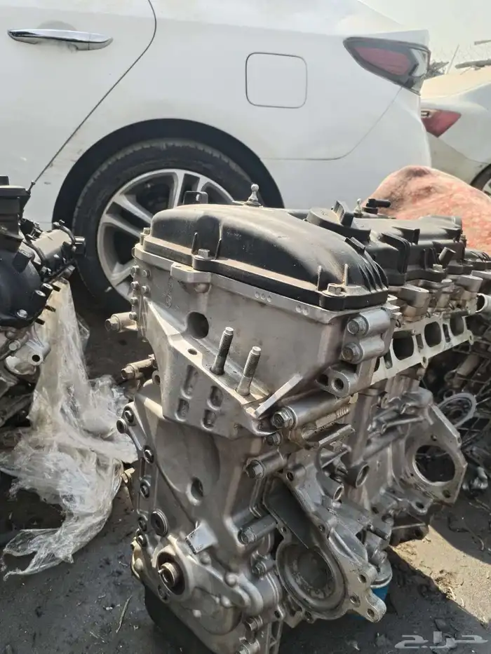 مكاين سنتافي توسان كدينزا كرنفال بلد على الشرط 5