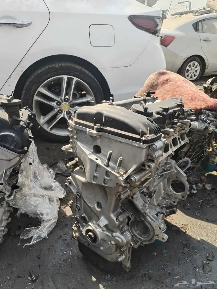 مكاين سنتافي توسان كدينزا كرنفال بلد على الشرط 4