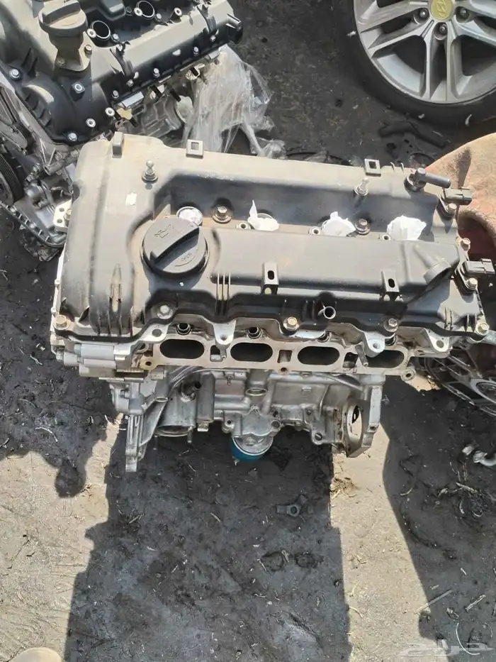 مكاين سنتافي توسان كدينزا كرنفال بلد على الشرط 6