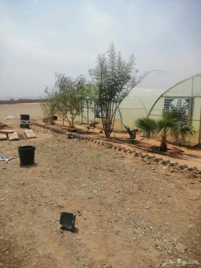 بيع وتركيب بيوت محمية وصالات زراعية بالسعودية 3