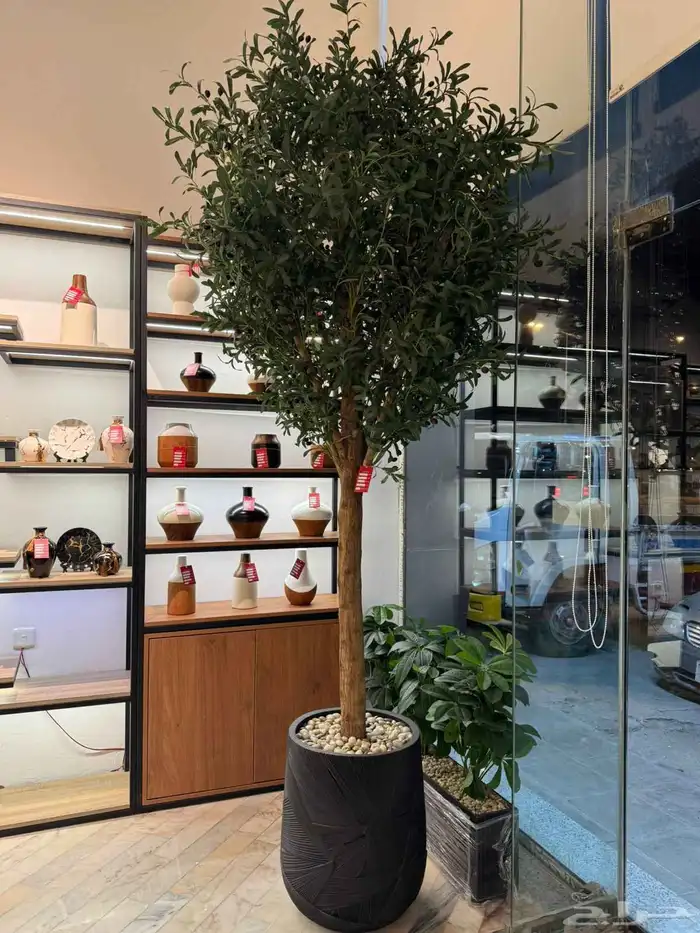 تحف هدايا طاولات 4