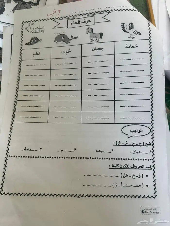 معلمه تأسيس خصوصيه 7