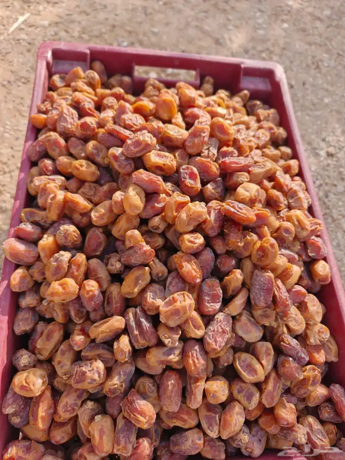 خلاص حبة كبير أشقر 6 كراتين موز فقط 0