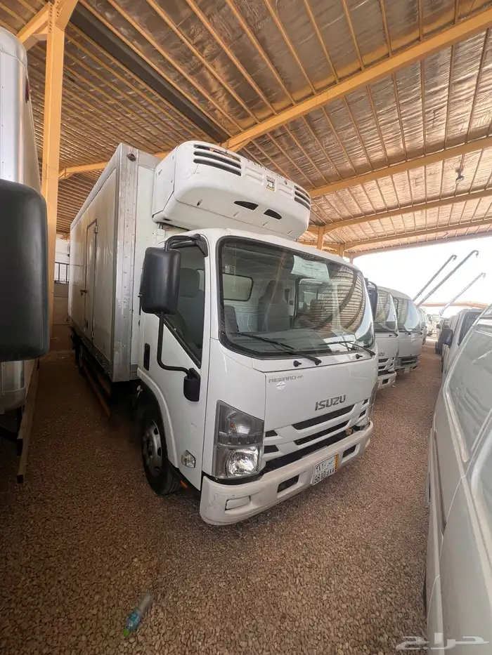 ديينا ايسوزو 2