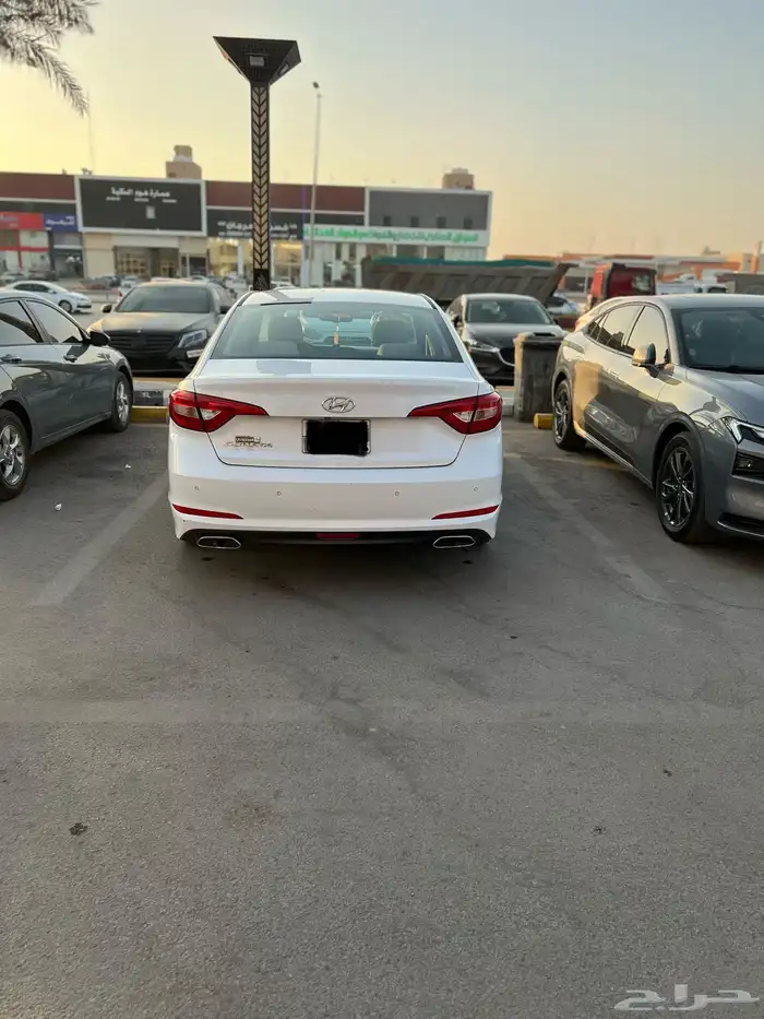 ممشى قليل المجدوعي 2