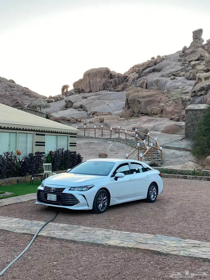 بدل بجيب ربع فقط فلون 2019 3