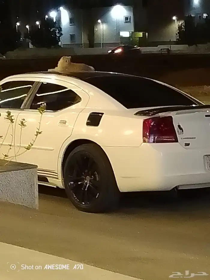 دوج تشارجر 12