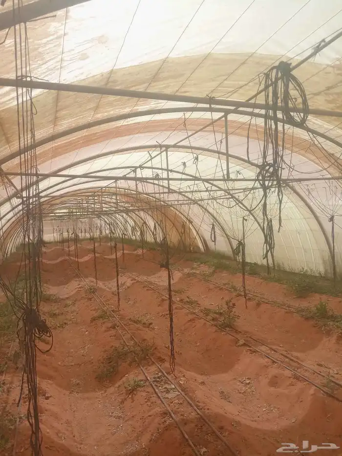 بيوت محميه 0